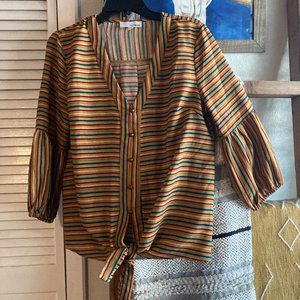 Multi Color Puffed Sleeve Stripped Tie Blouse